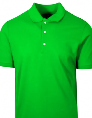 Avanish Trends Parrot Green Collar